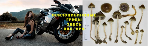 мефедрон мука Новодвинск