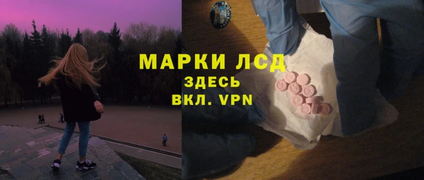 амф Новозыбков