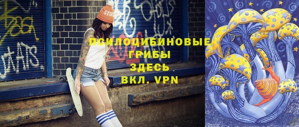 амф Новозыбков