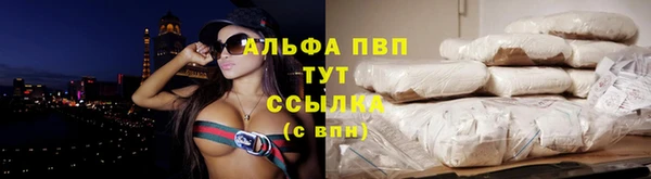 амф Новозыбков