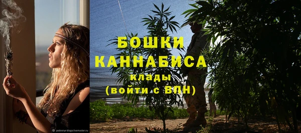 амф Новозыбков