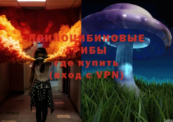 PSILOCYBIN Белоозёрский