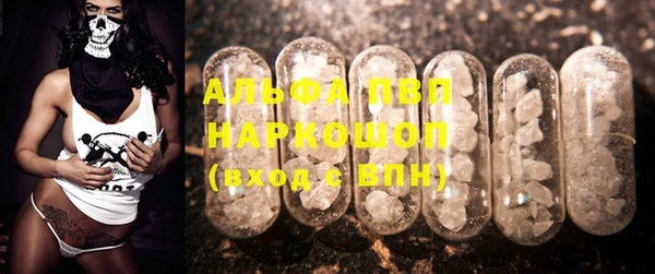 амф Новозыбков