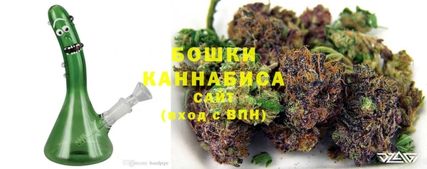амф Новозыбков