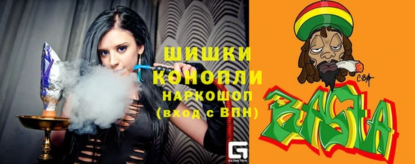 амф Новозыбков