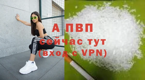 амф Новозыбков