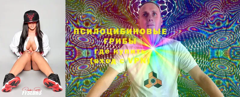 мега ТОР  Таганрог  Псилоцибиновые грибы Magic Shrooms 