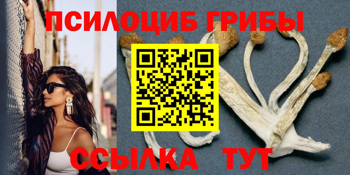Галлюциногенные грибы Cubensis Таганрог