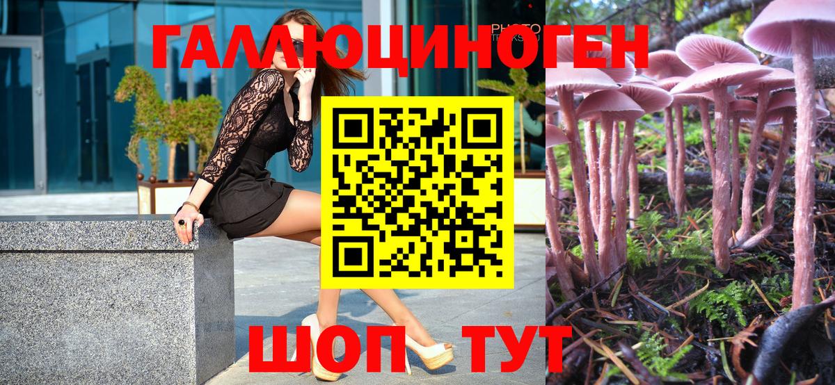 Таганрог  Галлюциногенные грибы GOLDEN TEACHER  Псилоцибиновые грибы Magic Shrooms  Вход с VPN 