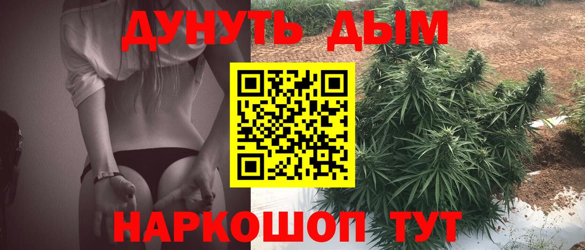 МАРИХУАНА гибрид  Таганрог  Бошки Шишки SATIVA & INDICA  Конопля MAZAR  Конопля семена 